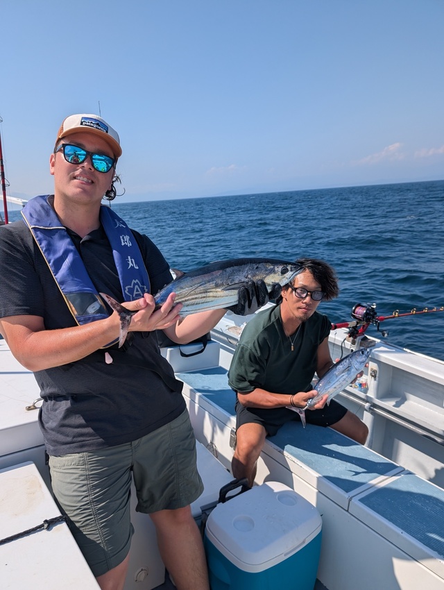 ホンガツオ(カツオ)