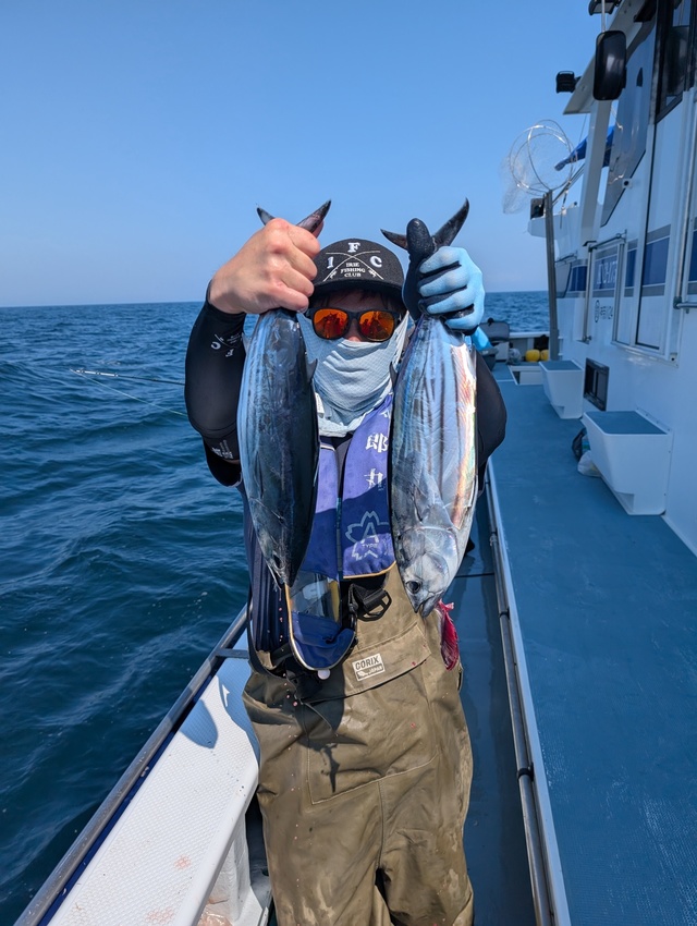 ホンガツオ(カツオ)