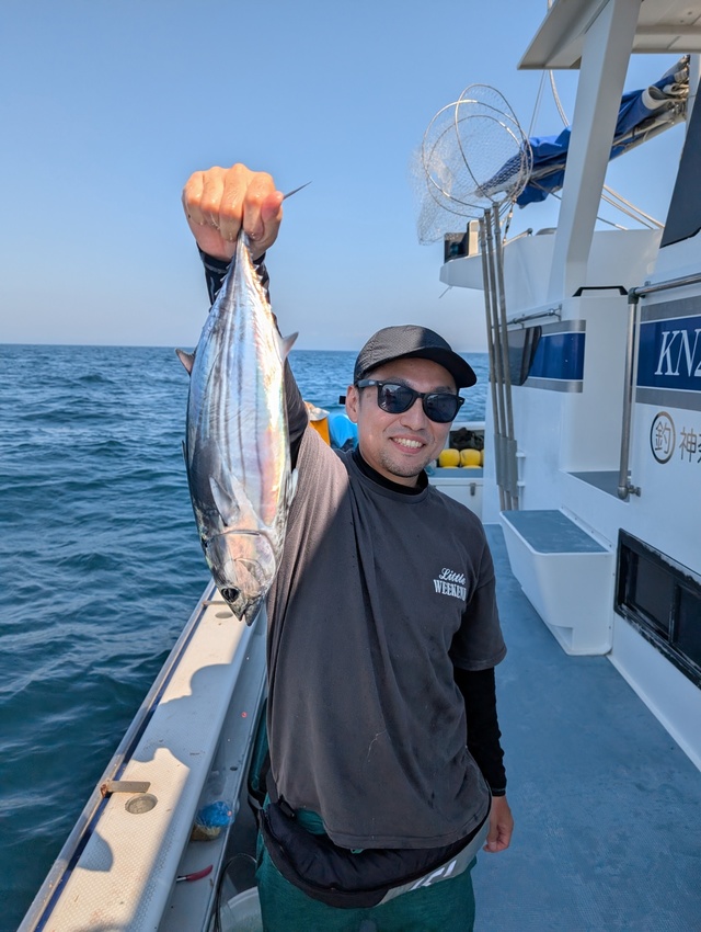 ホンガツオ(カツオ)