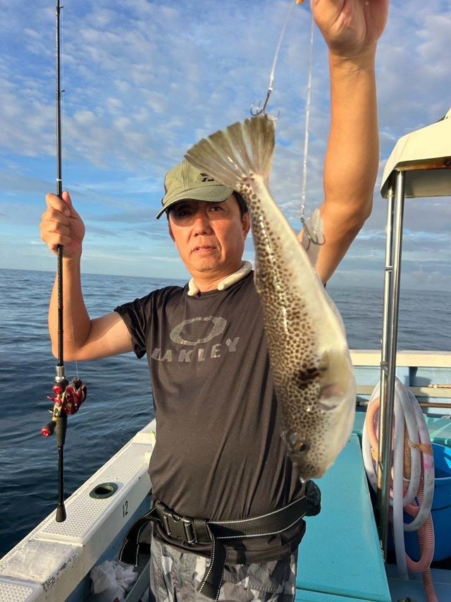 ショウサイフグ