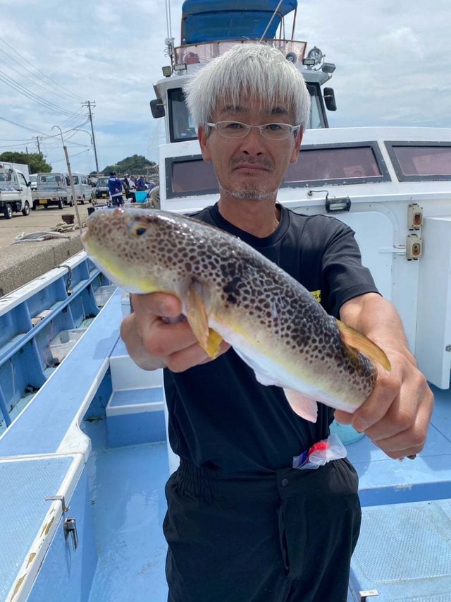 ショウサイフグ