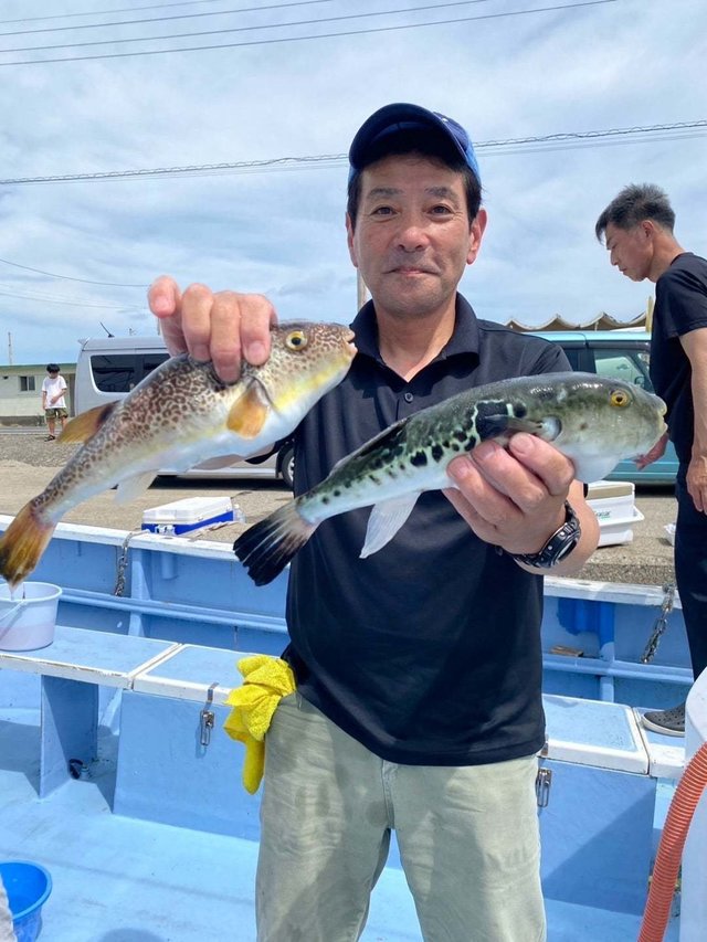 トラフグ・ショウサイフグ