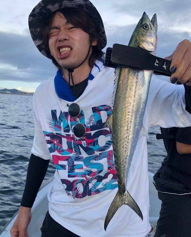 サゴシ(サワラ)