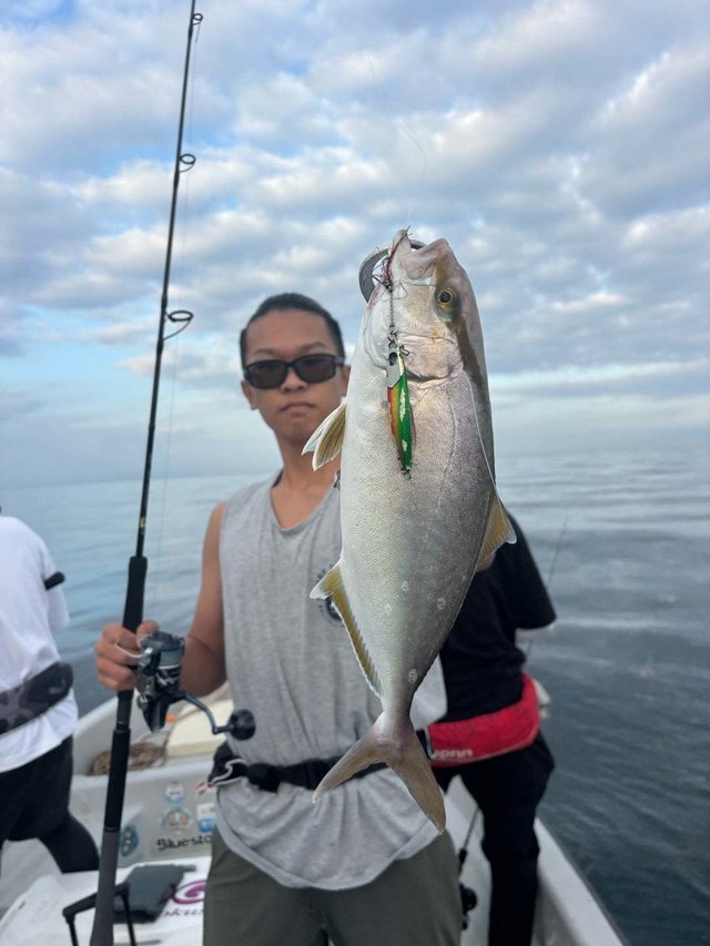 シオ(カンパチ)