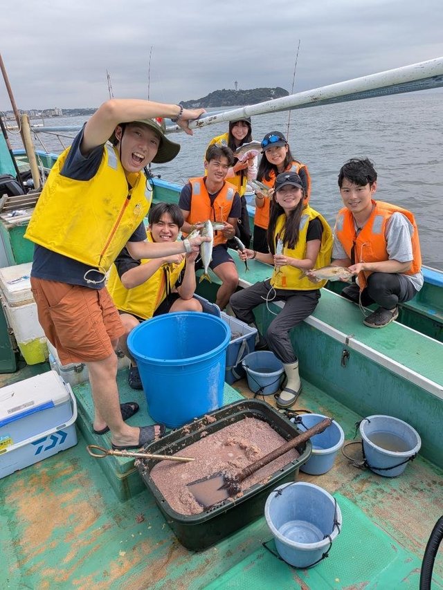 イナダ(ブリ)・カンパチ