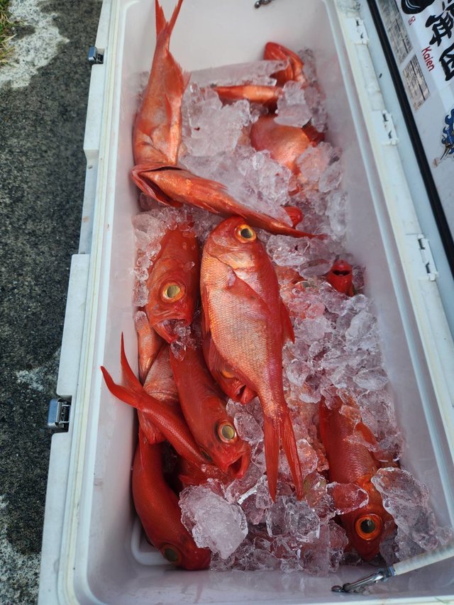 キンメ(キンメダイ)