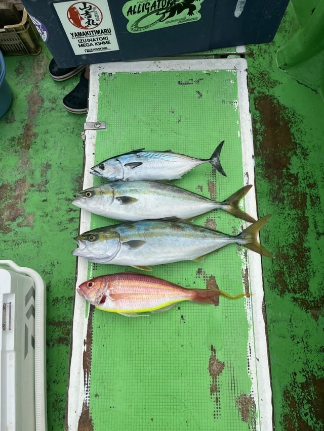 イナダ(ブリ)・イトヨリ(イトヨリダイ)