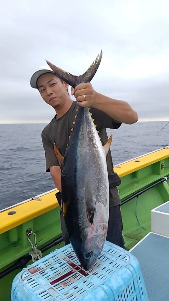 キメジ(キハダ)