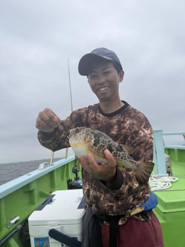 フグ(アカメフグ)