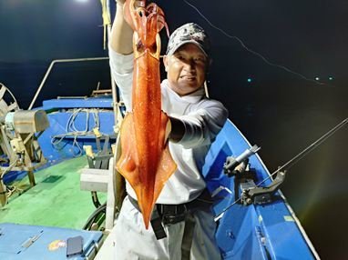 マイカ(ケンサキイカ)