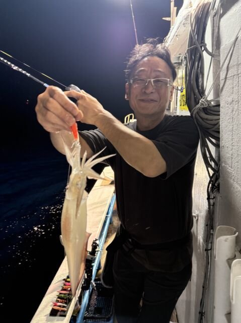 マイカ(ケンサキイカ)