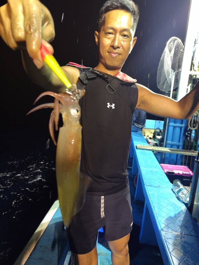 マルイカ(ケンサキイカ)