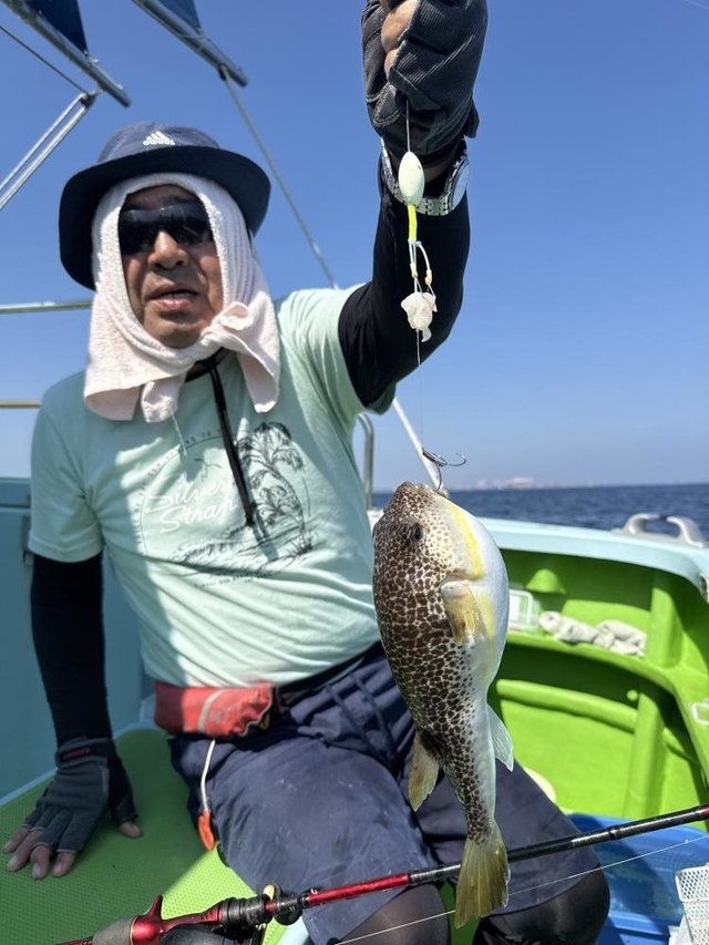 フグ(アカメフグ)