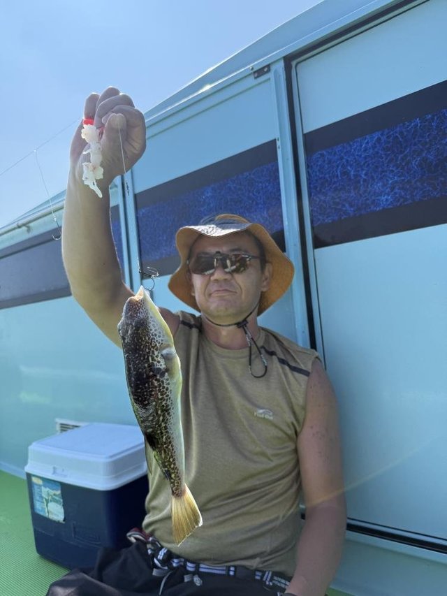 フグ(ショウサイフグ)