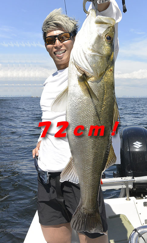 シーバス(スズキ)