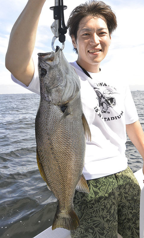 シーバス(スズキ)