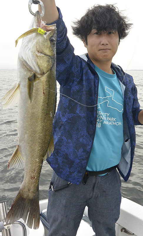 シーバス(スズキ)