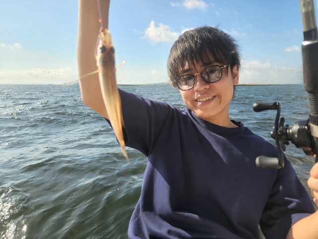 キス(シロギス)