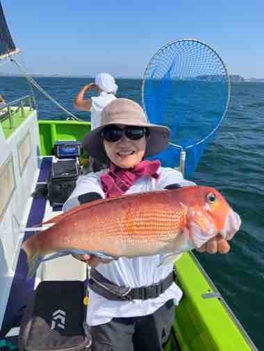 アマダイ(アカアマダイ)