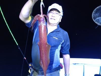 マイカ(ケンサキイカ)