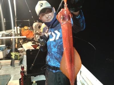 マイカ(ケンサキイカ)