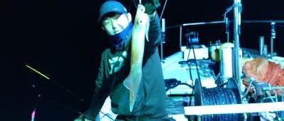 マイカ(ケンサキイカ)