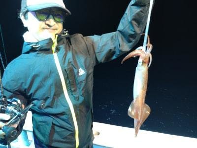 マイカ(ケンサキイカ)