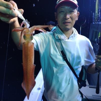 マイカ(ケンサキイカ)