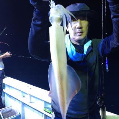 マイカ(ケンサキイカ)