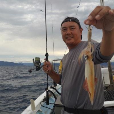 マイカ(ケンサキイカ)