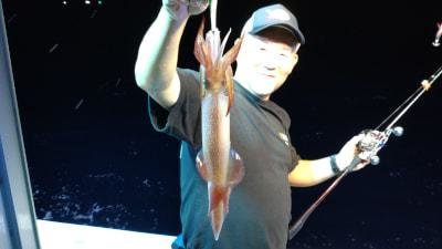 マイカ(ケンサキイカ)