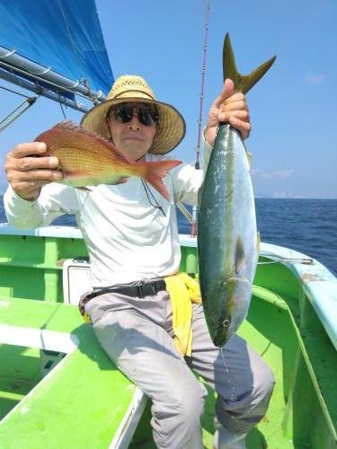 マダイ・ワラサ(ブリ)