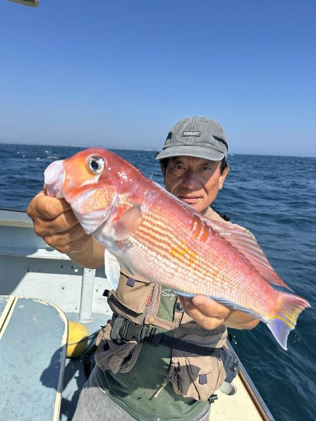 アマダイ(アカアマダイ)