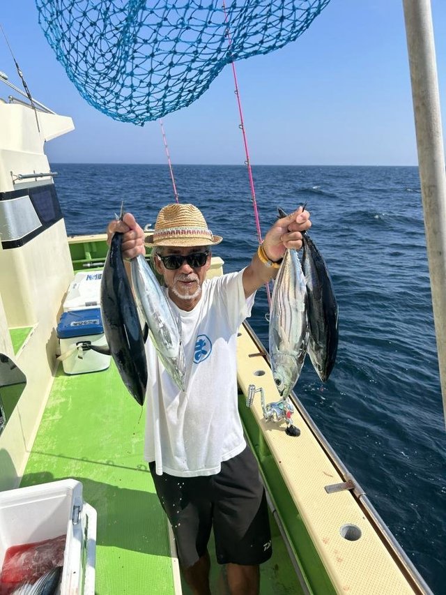 ホンガツオ(カツオ)