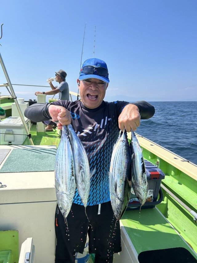 ホンガツオ(カツオ)