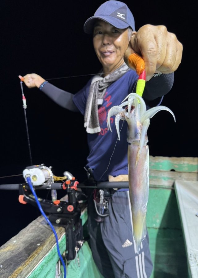 ムギイカ(スルメイカ)