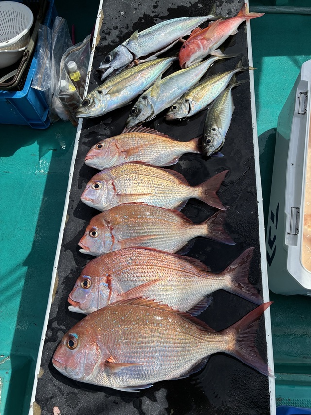 マダイ・チダイ