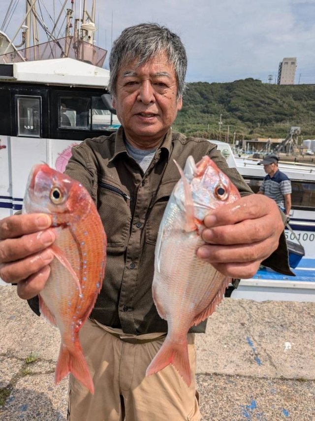 ハナダイ(チダイ)