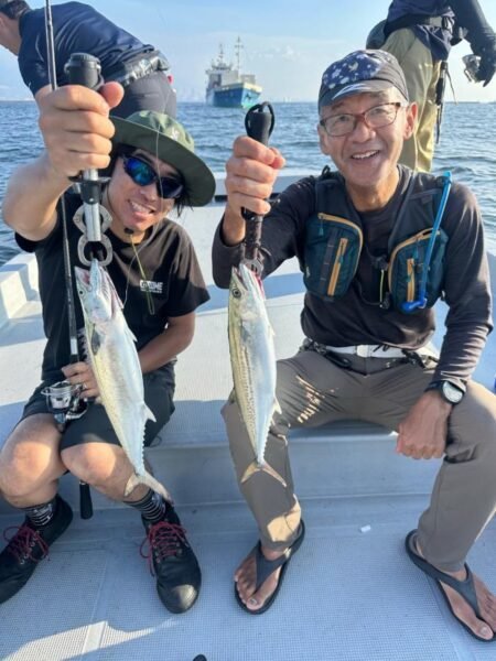 サゴシ(サワラ)