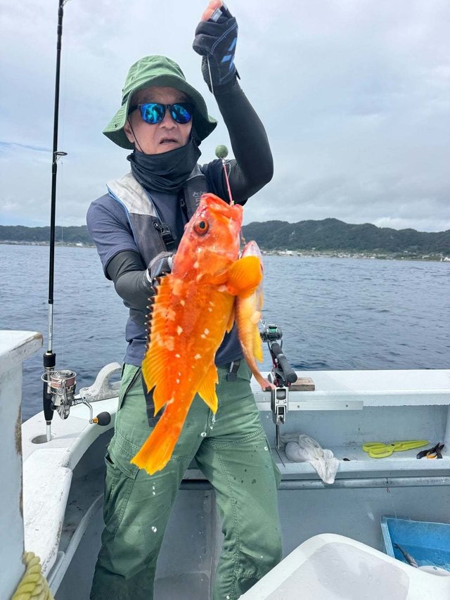 アカハタ・アジ(マアジ)