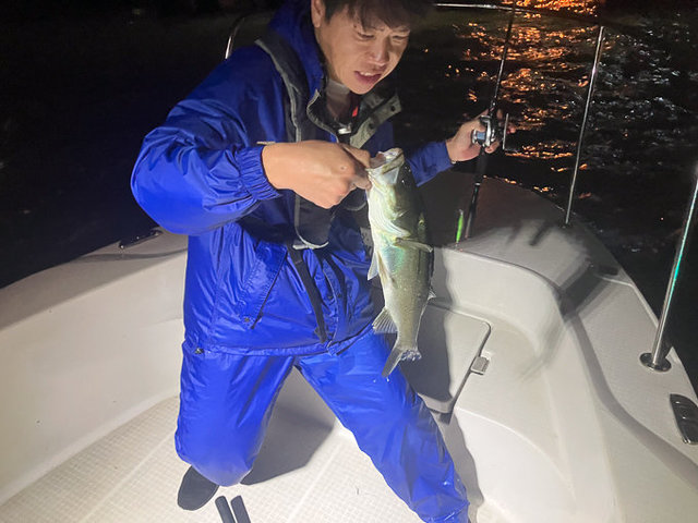 シーバス(スズキ)