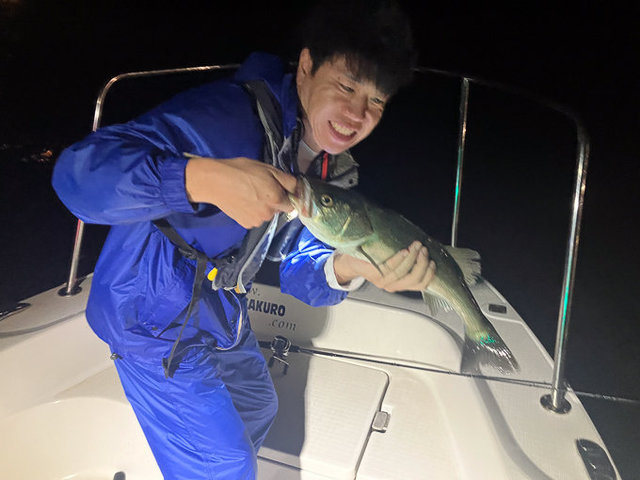 シーバス(スズキ)