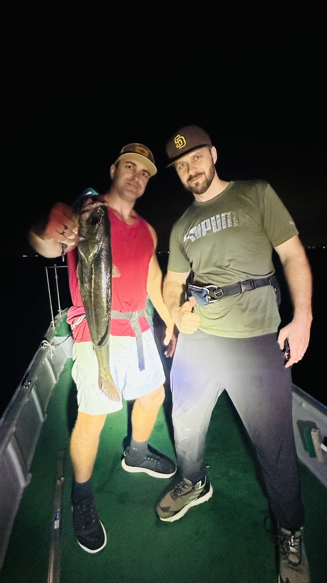 シーバス(スズキ)