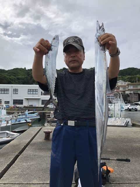 サゴシ(サワラ)・タチウオ