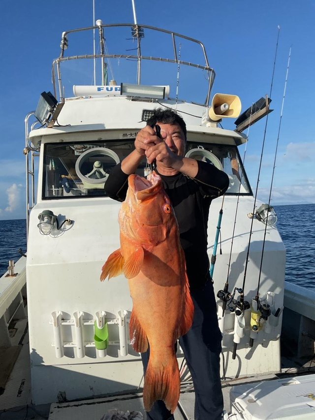 アカジョウ(スジアラ)