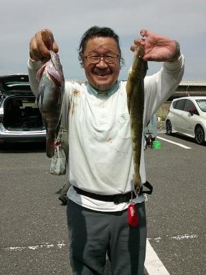 マゴチ・ハタ(マハタ)