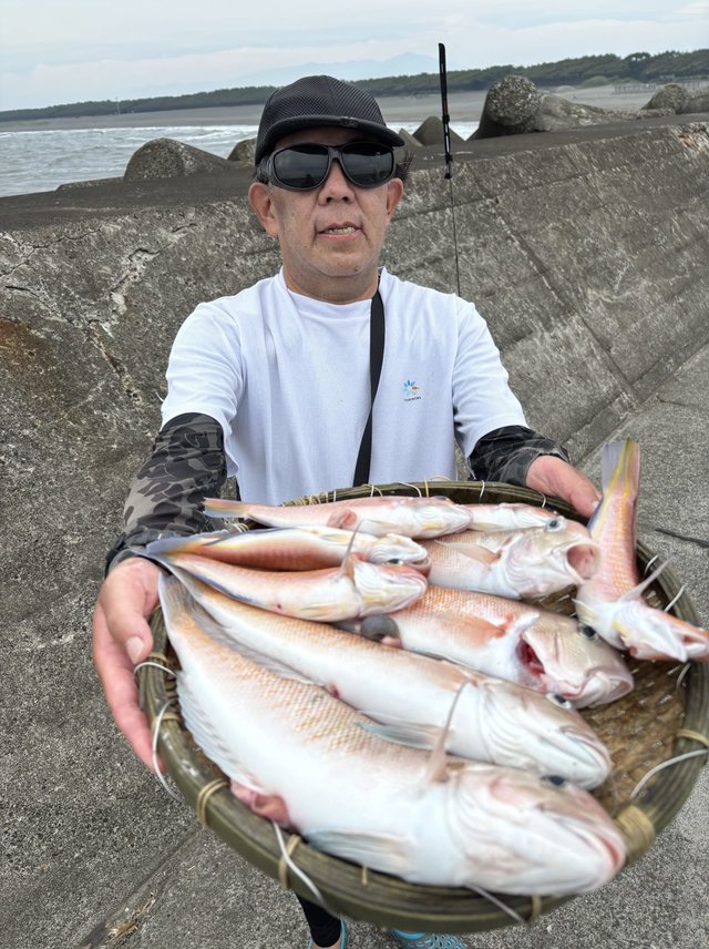アマダイ(アカアマダイ)・シロアマダイ