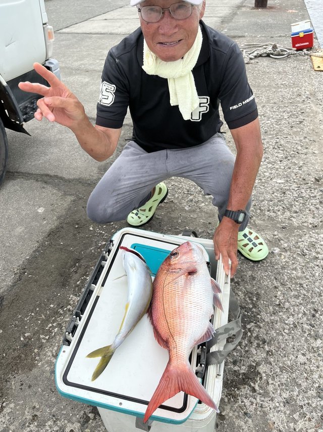 マダイ・イナダ(ブリ)