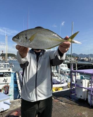 シマアジ