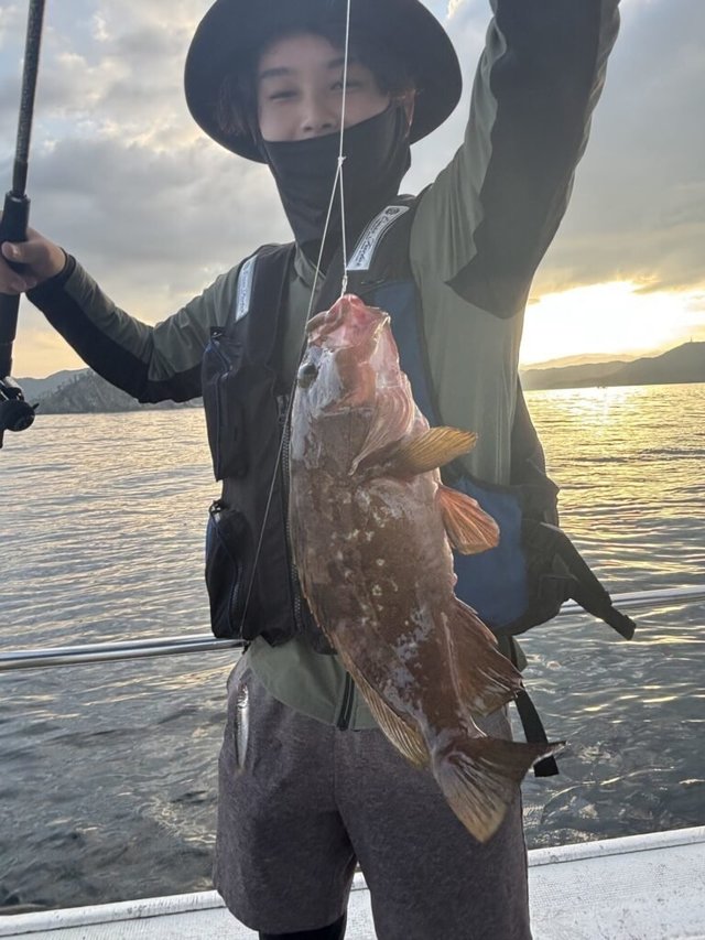 アコウ(キジハタ)